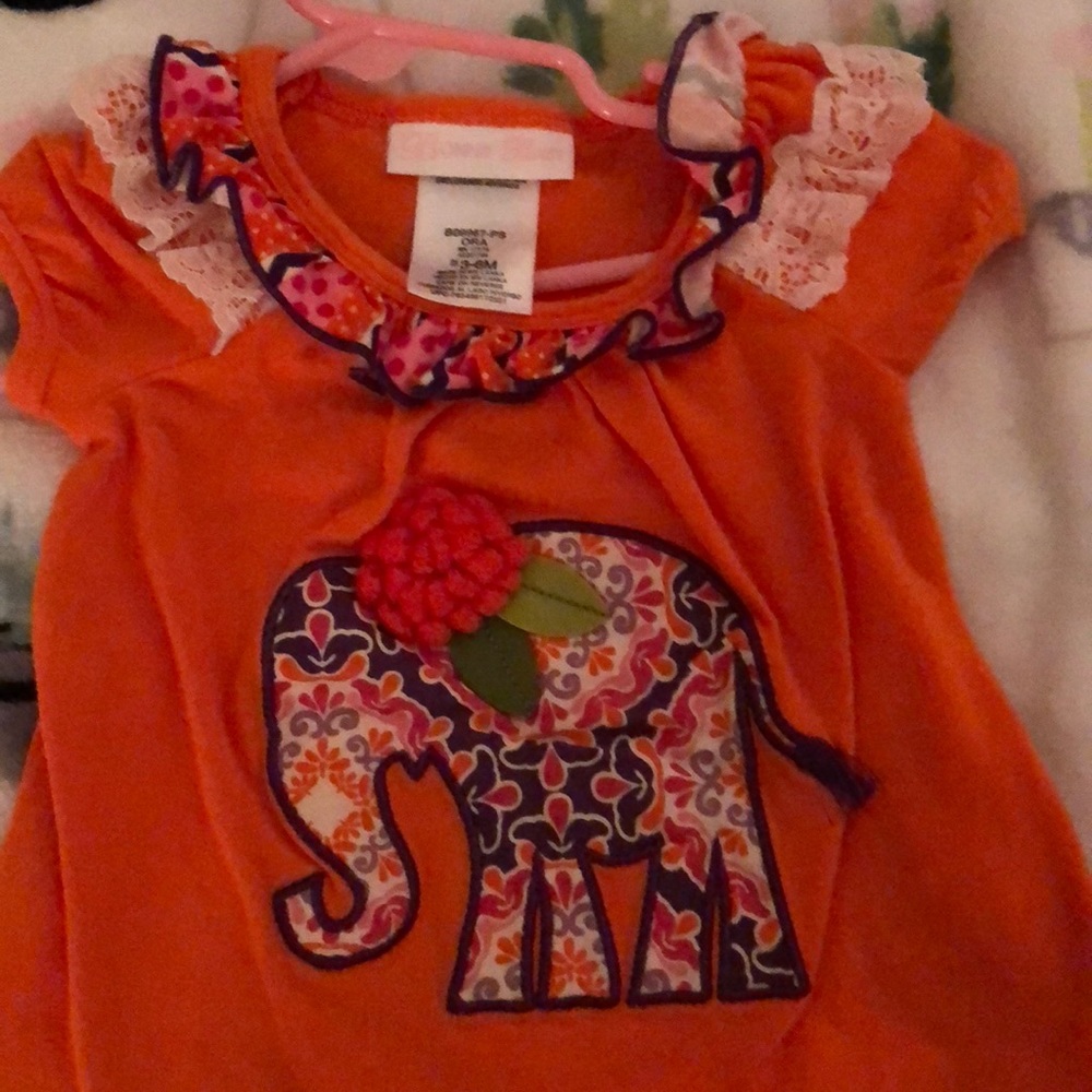 Elephant 🐘 top